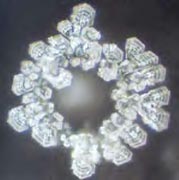 emoto5