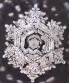 emoto9