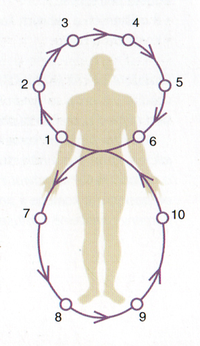 osmicka