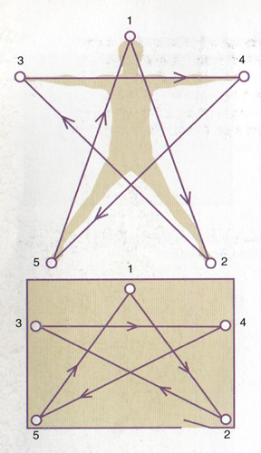 peticipa hvezda 2